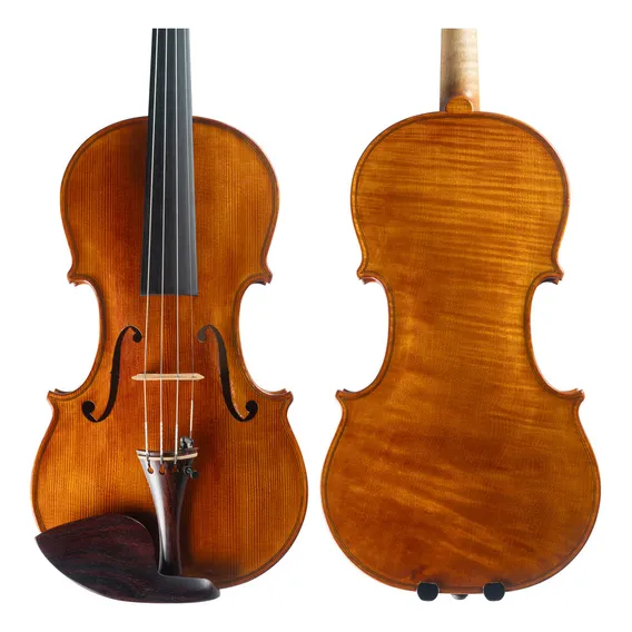 Violino 4/4 Luthier Feito À Mão Profissional De Autor Foto 1