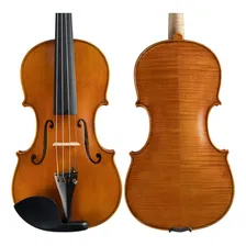 Violino Luthier Vinicius Fachinetti Profissional Guarneri Foto mini 1
