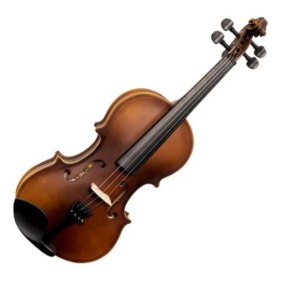 Violino Vogga Von144n 4/4 Foto 1