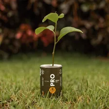Vital Pro - 脫leo De Semente De Ab贸bora (60caps) - 1000mg Sabor Sem sabor Foto mini 3