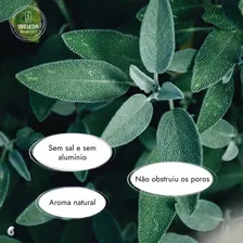 Weleda Sálvia - Desodorante 100ml Foto mini  3