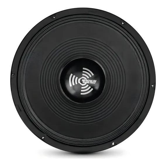 Woofer Magnum 12 Polegadas 250w Rms 8 Ohms Foto 1