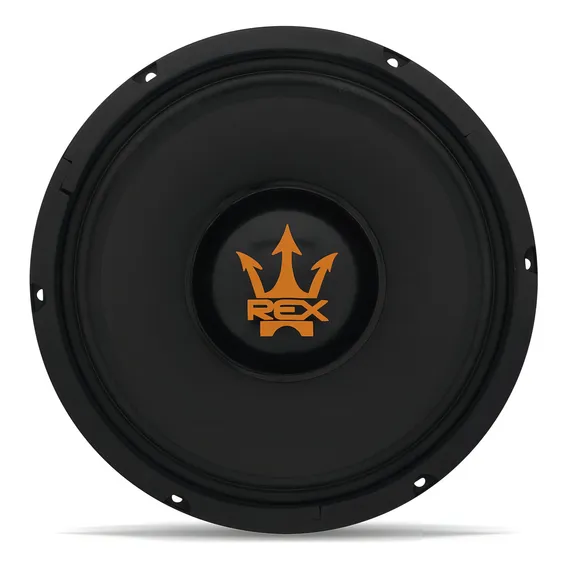 Woofer Magnum Rex 10 Polegadas 400w Rms Alto Falante Médio Cor Preto Foto 1