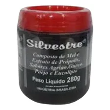 Xarope Pneumoflux Silvestre 280g Xarope Natural Composto Foto mini 1